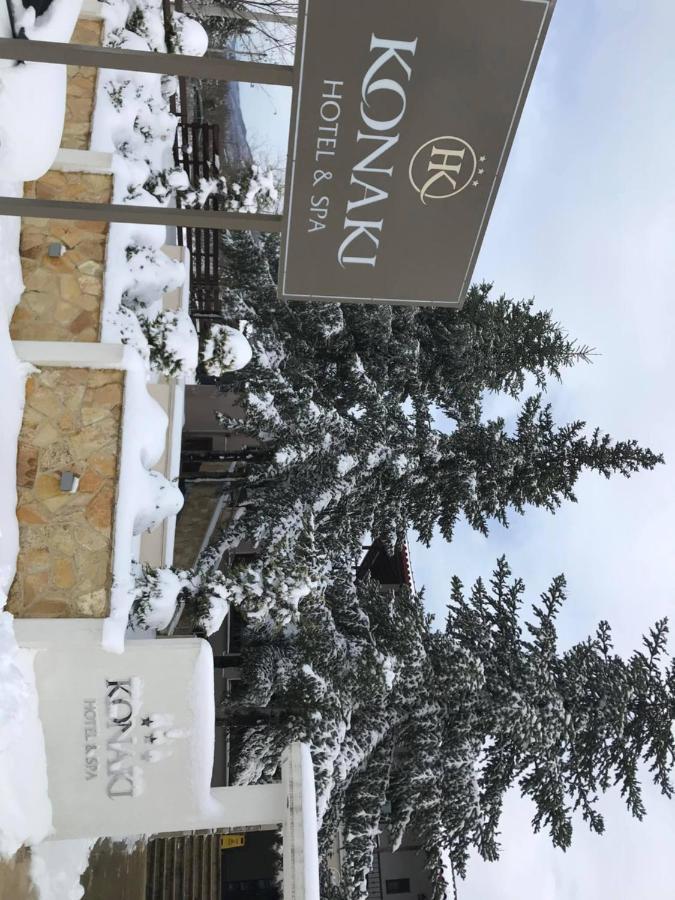Hotel Konaki Arnea Bagian luar foto